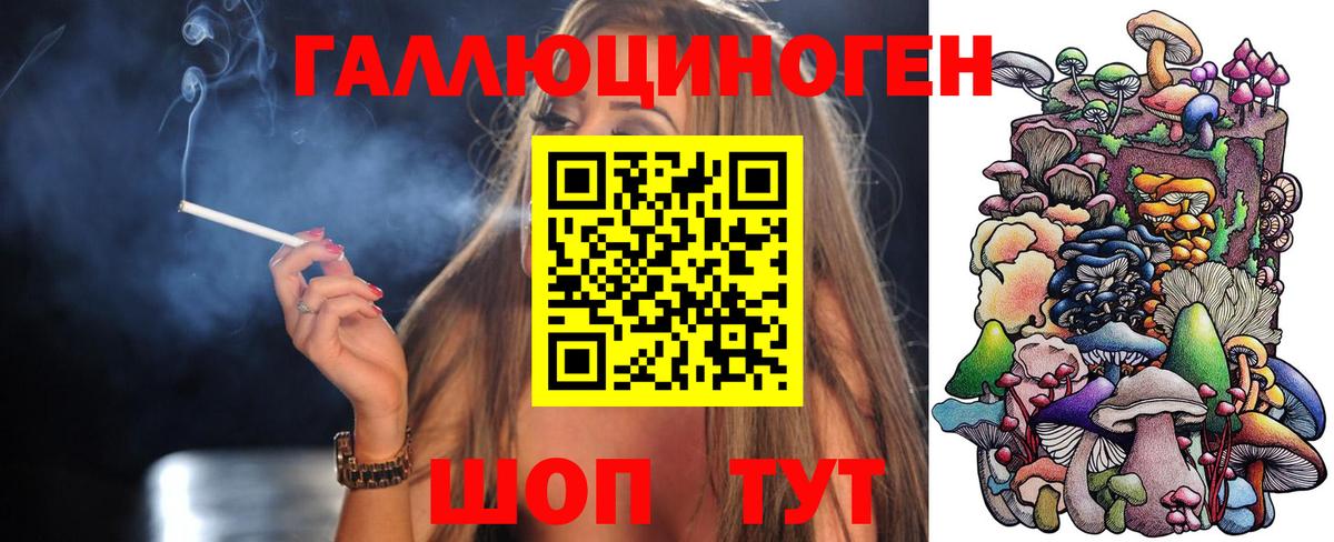 Шатура  Псилоцибиновые грибы GOLDEN TEACHER  хочу наркоту  Вход с VPN 